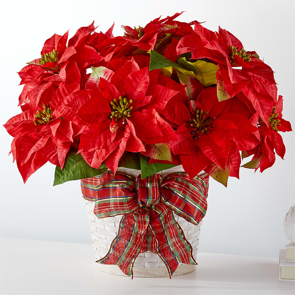 Happiest Holidays Poinsettia – The Stud Florist, Conyers GA