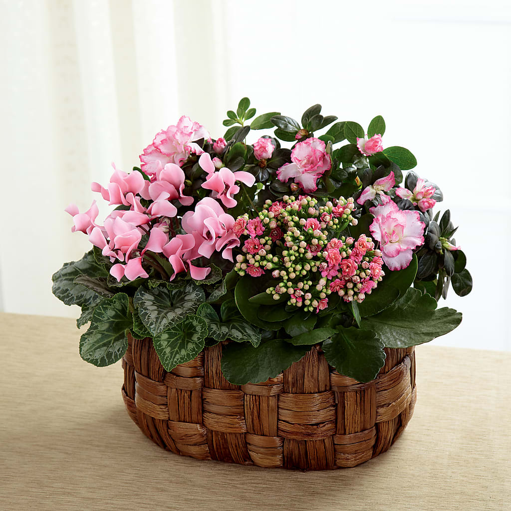Pink Assortment – The Stud Florist, Conyers GA