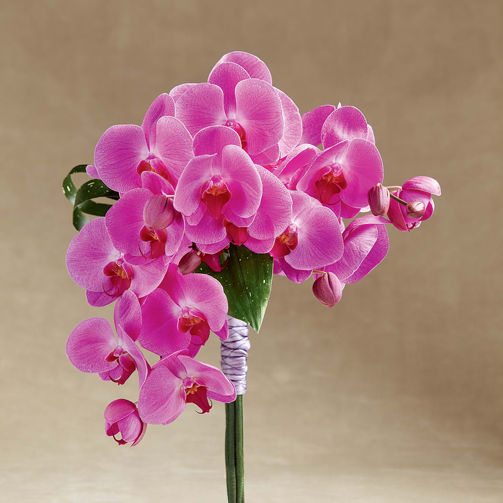 Glorious Bouquet – The Stud Florist, Conyers GA