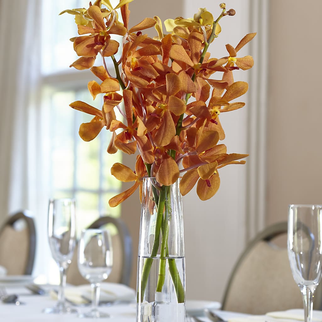 Orange Mokara Bud Vase – The Stud Florist, Conyers GA