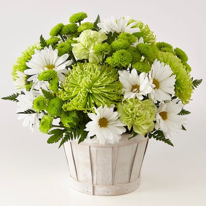Lucky Charm Basket (Standard) –  The Stud Florist, Conyers GA