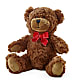 Adorable Plush Bear –  The Stud Florist, Conyers GA