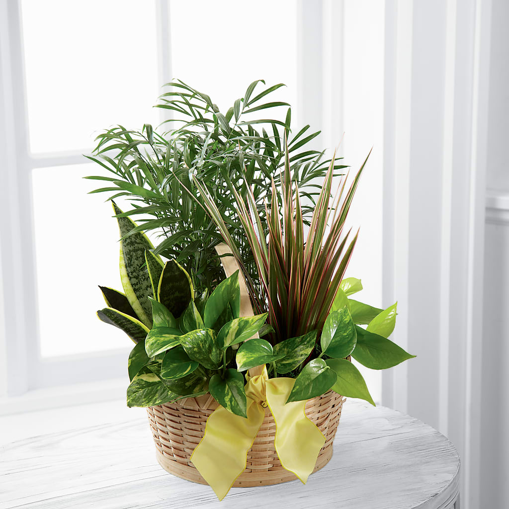 French Garden –  The Stud Florist, Conyers GA