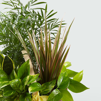 French Garden –  The Stud Florist, Conyers GA