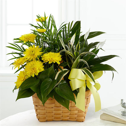 Loving Light Dishgarden –  The Stud Florist, Conyers GA