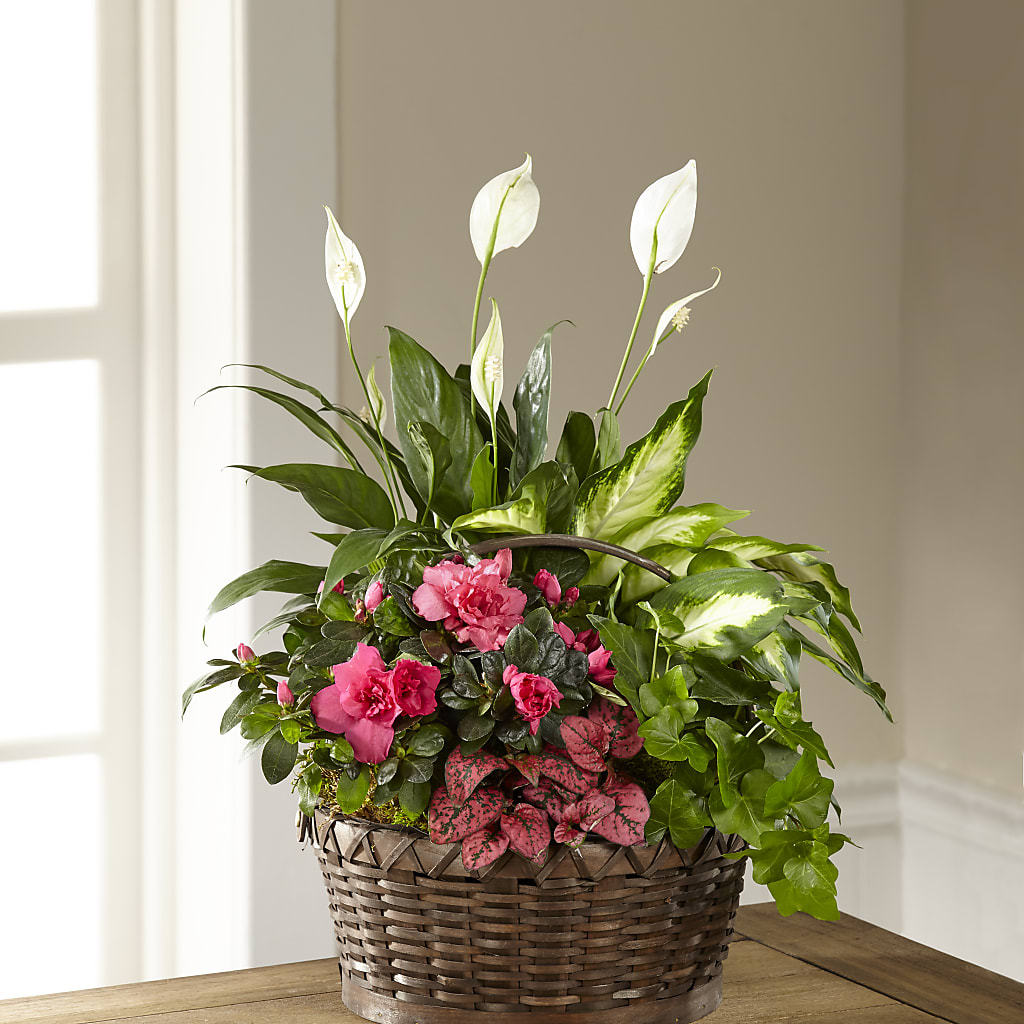Dream in Pink Dishgarden –  The Stud Florist, Conyers GA