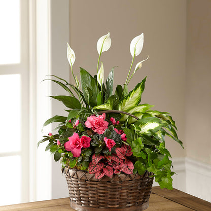 Dream in Pink Dishgarden –  The Stud Florist, Conyers GA
