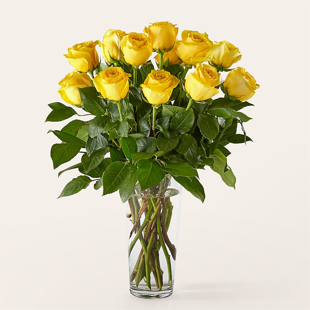 Long Stem Yellow Rose Bouquet –  The Stud Florist, Conyers GA