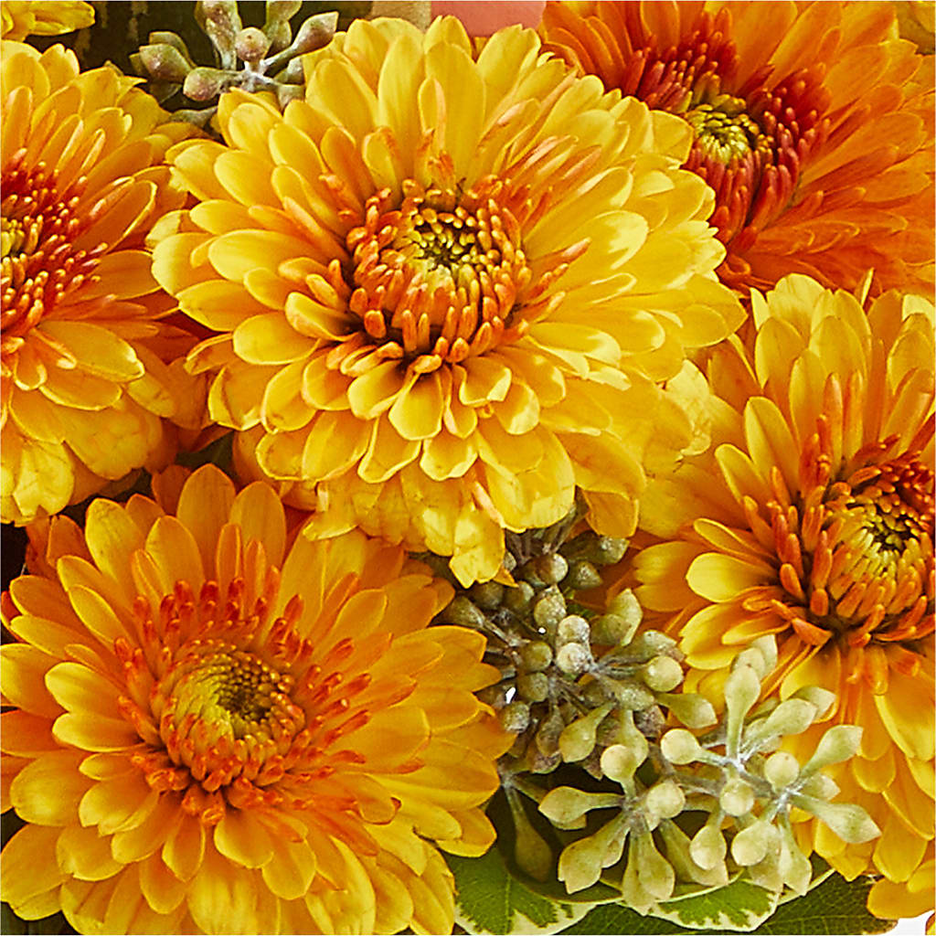 Peachy Pumpkin –  The Stud Florist, Conyers GA