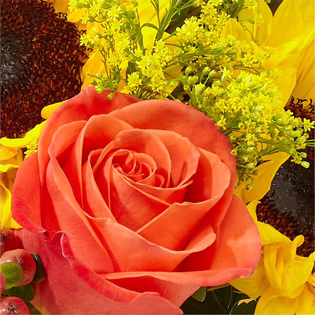 Pick of the Patch Pumpkin Bouquet –  The Stud Florist, Conyers GA