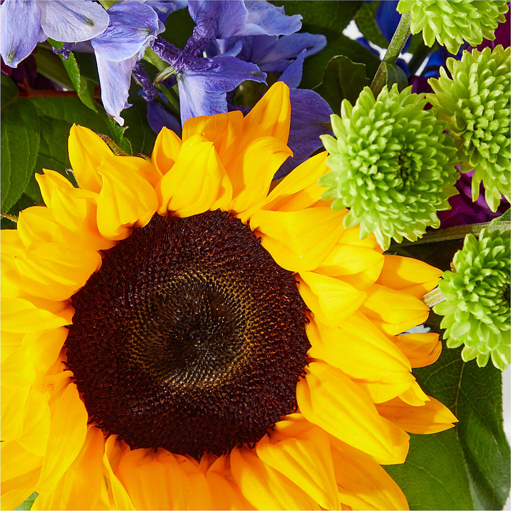 Catching Rays Bouquet –  The Stud Florist, Conyers GA