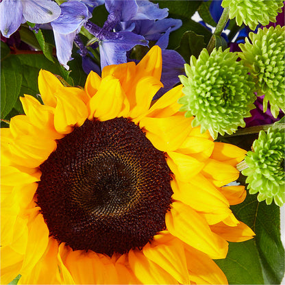 Catching Rays Bouquet –  The Stud Florist, Conyers GA