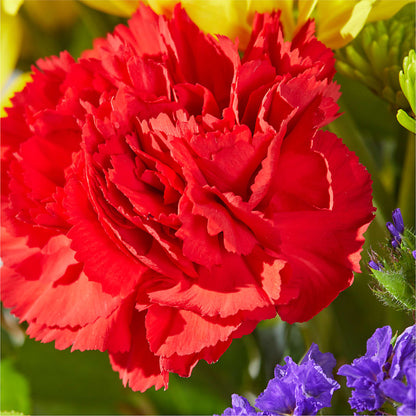 Brighter Days Bouquet –  The Stud Florist, Conyers GA