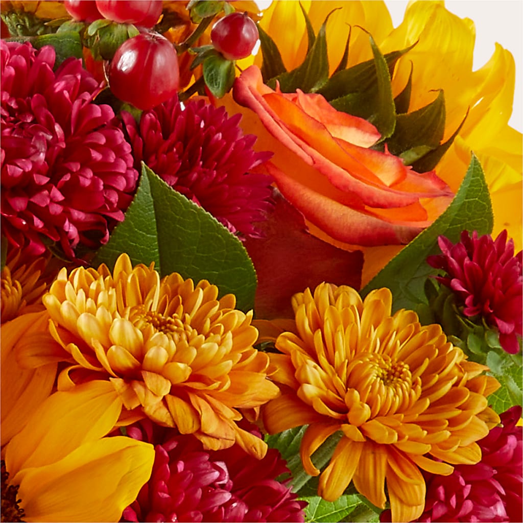 Sweater Season - A Florist Original –  The Stud Florist, Conyers GA
