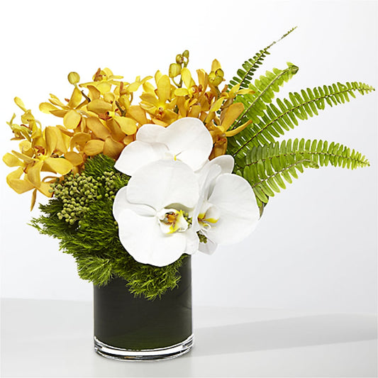 The Tropics –  The Stud Florist, Conyers GA