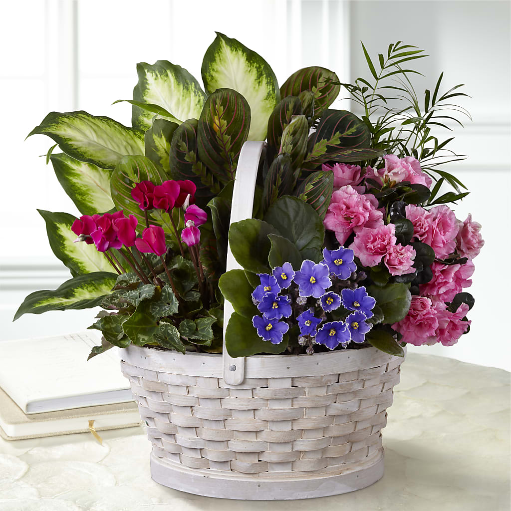 Peaceful Garden Planter –  The Stud Florist, Conyers GA