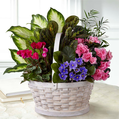 Peaceful Garden Planter –  The Stud Florist, Conyers GA