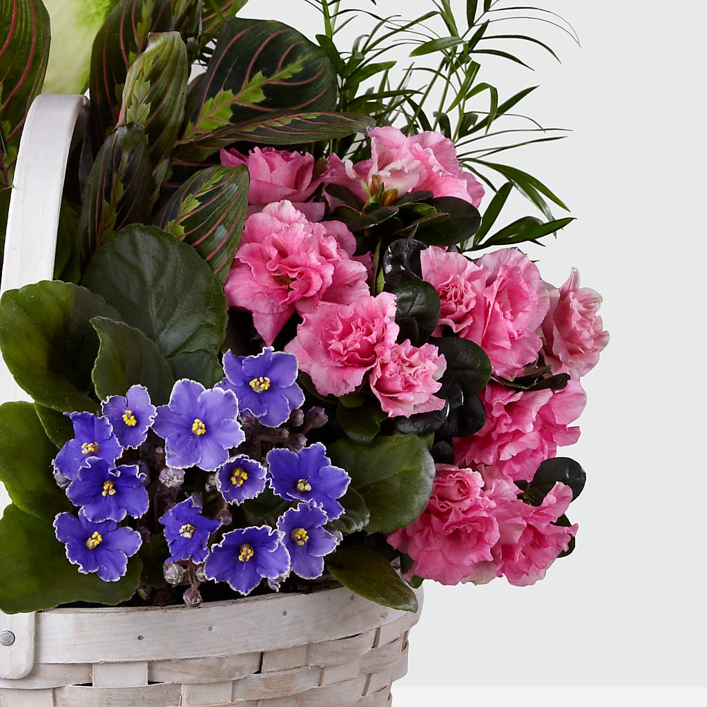 Peaceful Garden Planter –  The Stud Florist, Conyers GA