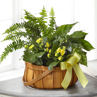 Always Dear Dishgarden –  The Stud Florist, Conyers GA