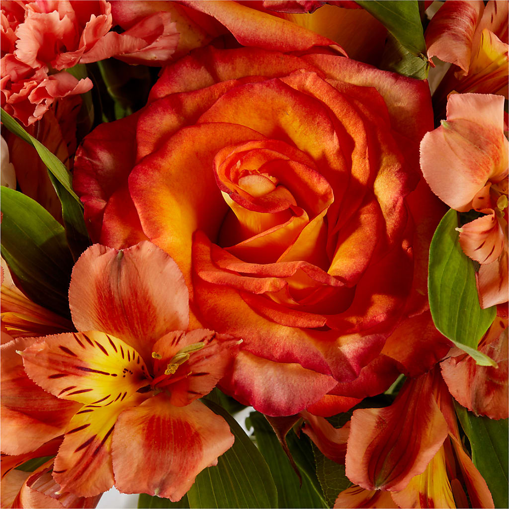 Apricot Glow Bouquet –  The Stud Florist, Conyers GA