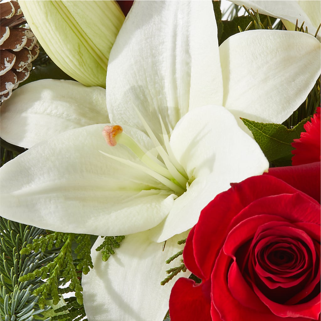 Oh So Jolly Bouquet –  The Stud Florist, Conyers GA