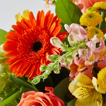 Autumn Sunshine Bouquet –  The Stud Florist, Conyers GA