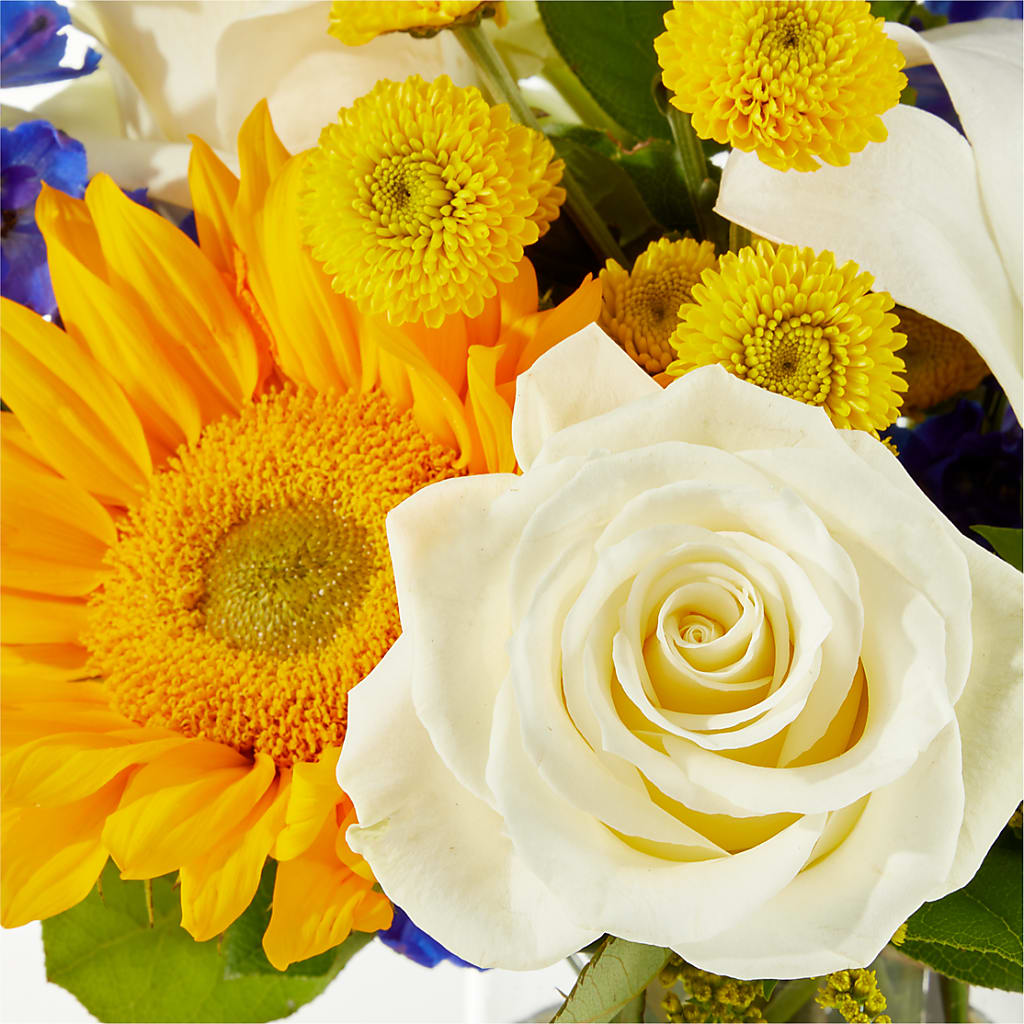 Stargazing Bouquet –  The Stud Florist, Conyers GA