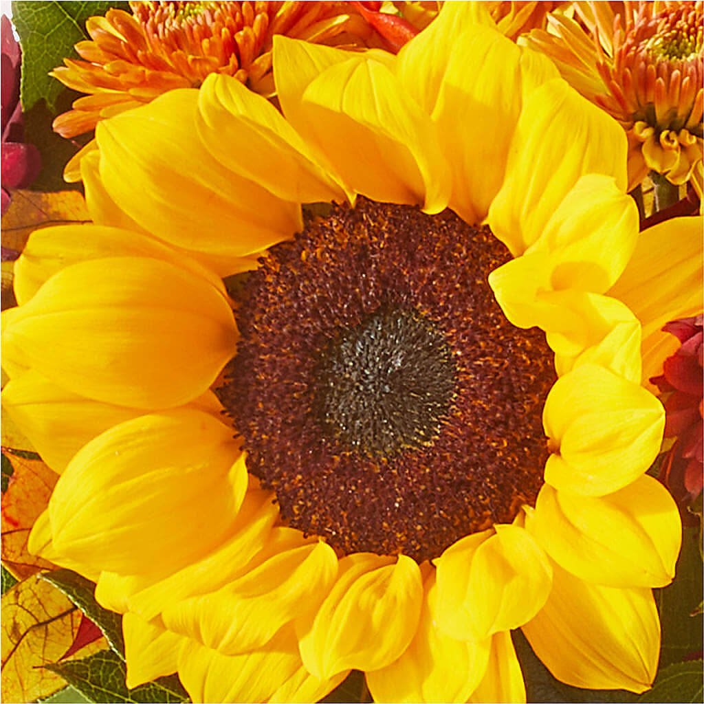 Sunny Side Bouquet –  The Stud Florist, Conyers GA