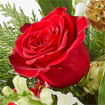 Deck the Halls Bouquet –  The Stud Florist, Conyers GA